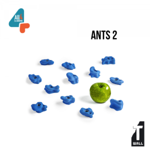 Ants | Presas de escalada