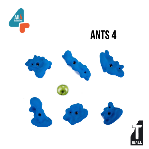 Ants | Presas de escalada